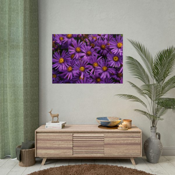 Purple Daisy Poster