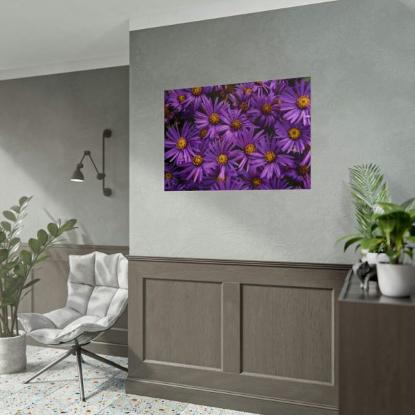 Purple Daisy Poster