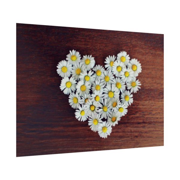 92409-359.jpg White Daisy in Heart Shape Poster