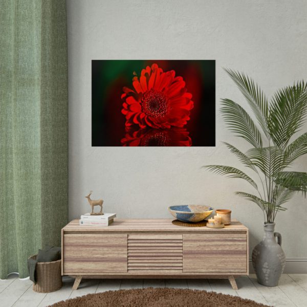 Red Daisy Poster