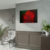 Red Daisy Poster