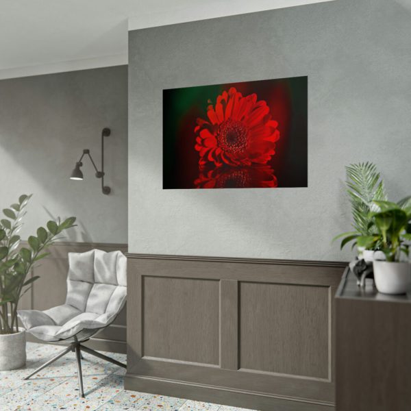 Red Daisy Poster