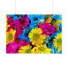 92409-368.jpg Colorful Daisies Poster