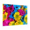 92409-369.jpg Colorful Daisies Poster