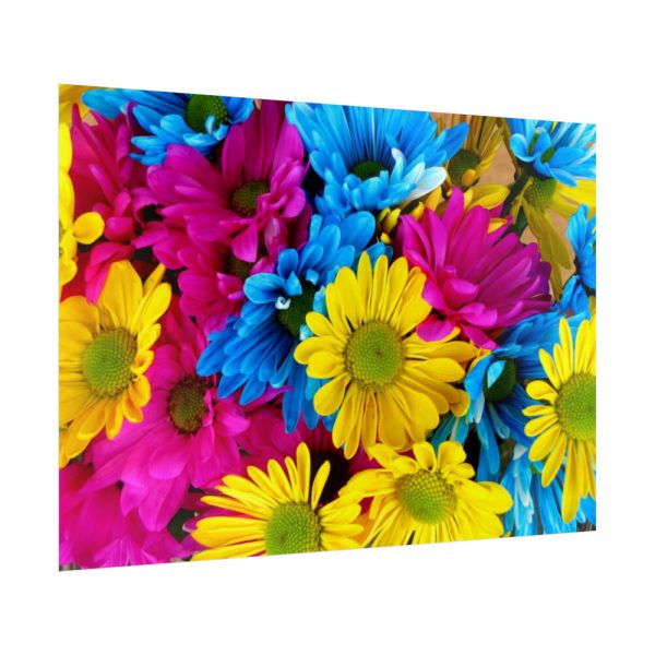 92409-369.jpg Colorful Daisies Poster