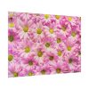 92409-374.jpg Pink Daisies Poster