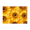 92409-377.jpg Yellow Daisies Poster