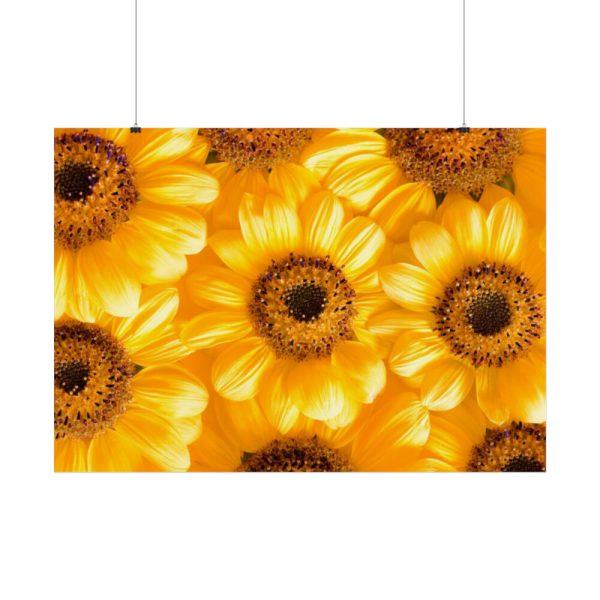 92409-378.jpg Yellow Daisies Poster