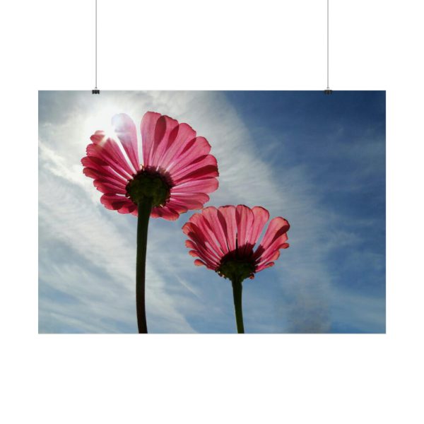 92409-383.jpg Pink Daisy with Blue Sky Poster