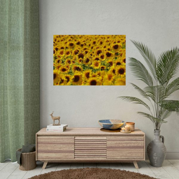 92409-39.jpg Sunflower Farm Poster