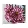 92409-394.jpg Pink-White Daisies Poster