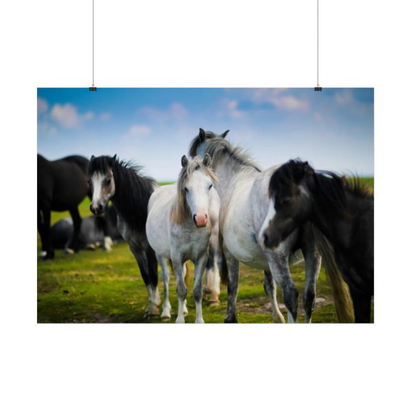 92409-398.jpg A Herd of Grey and White Horses Poster