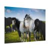 92409-399.jpg A Herd of Grey and White Horses Poster