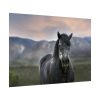92409-404.jpg Gray Horse Poster