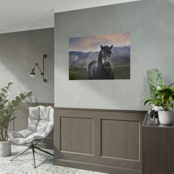 92409-406.jpg Gray Horse Poster