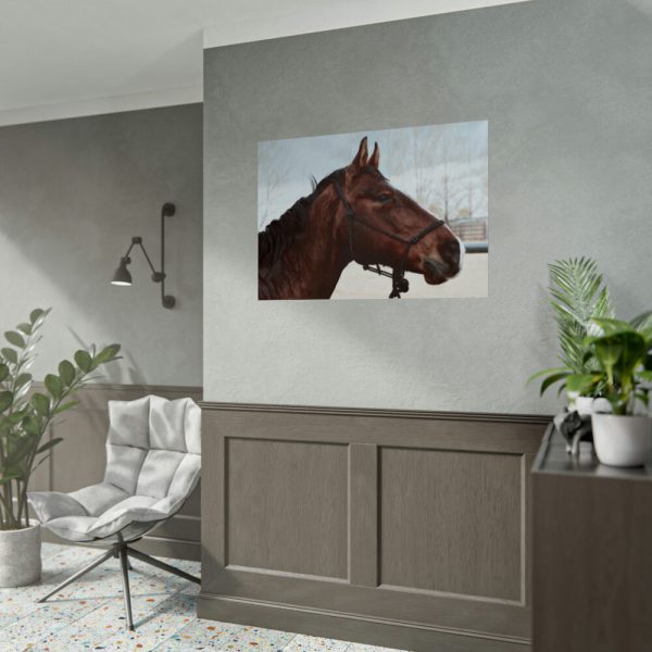92409-411.jpg The Side of the Head of a Brown Horse Poster