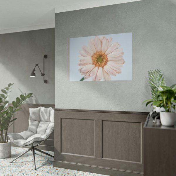 Closeup Daisy Poster
