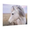 A Close-up of a Gray Horse Poster