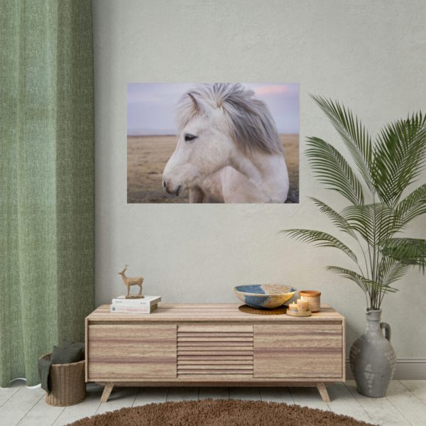 A Close-up of a Gray Horse Poster