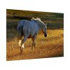 92409-424.jpg White Horses Poster