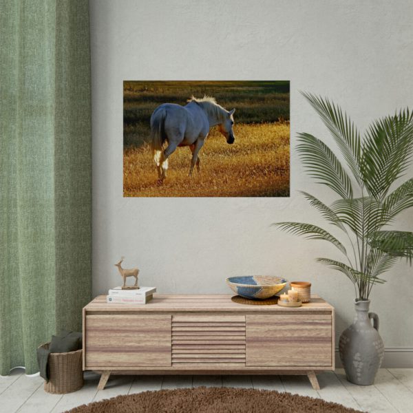 92409-425.jpg White Horses Poster