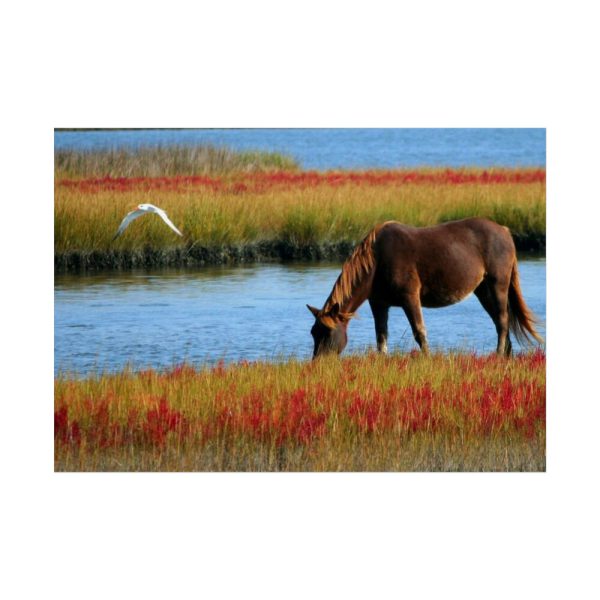 92409-427.jpg Horse Savanna Poster