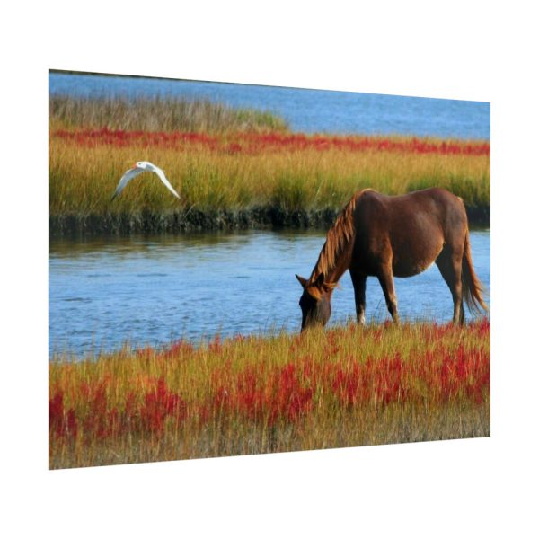 92409-429.jpg Horse Savanna Poster
