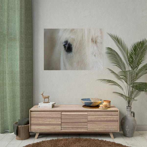 92409-435.jpg Half of a White Horse Face Poster