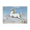 White horse Painting by Joris Hoefnagel Poster