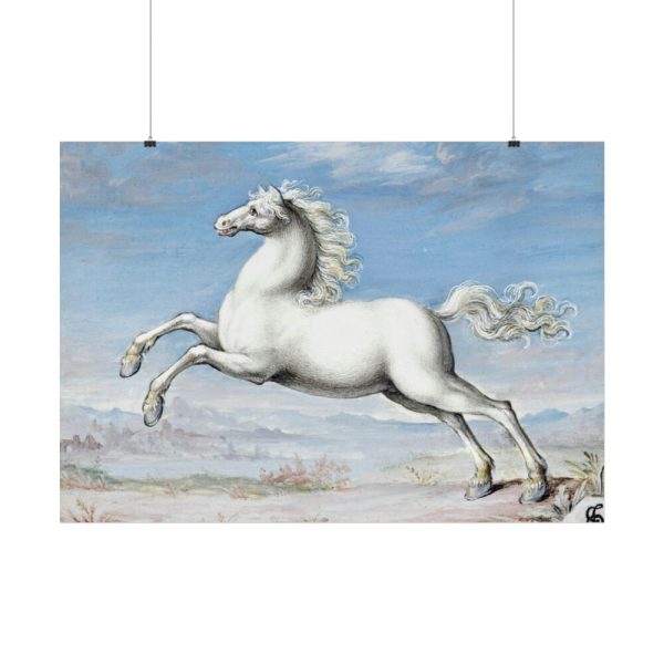 White horse Painting by Joris Hoefnagel Poster