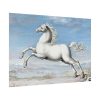 White horse Painting by Joris Hoefnagel Poster
