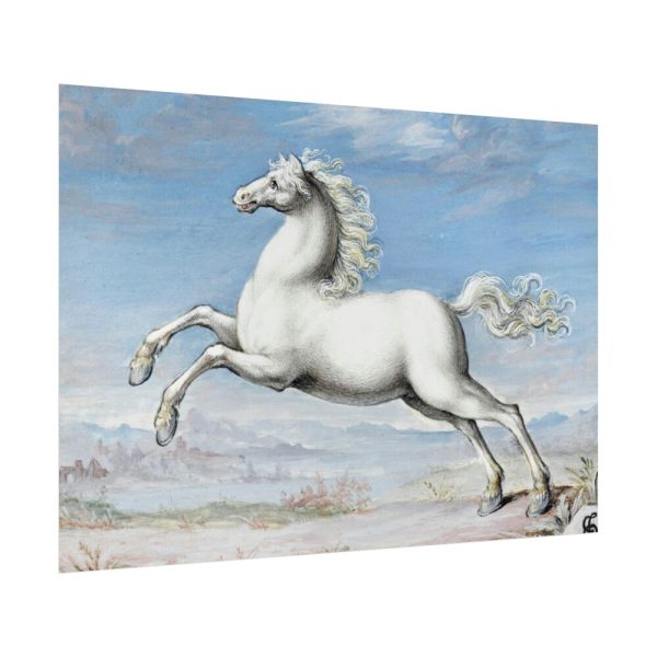 White horse Painting by Joris Hoefnagel Poster