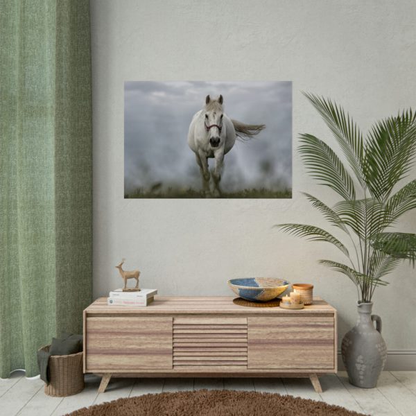 92409-445.jpg White Horse Galloping Poster