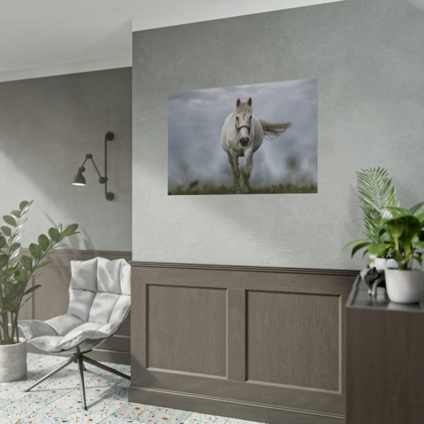 92409-446.jpg White Horse Galloping Poster