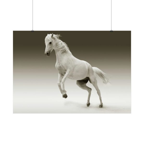 92409-448.jpg White Horse Poster