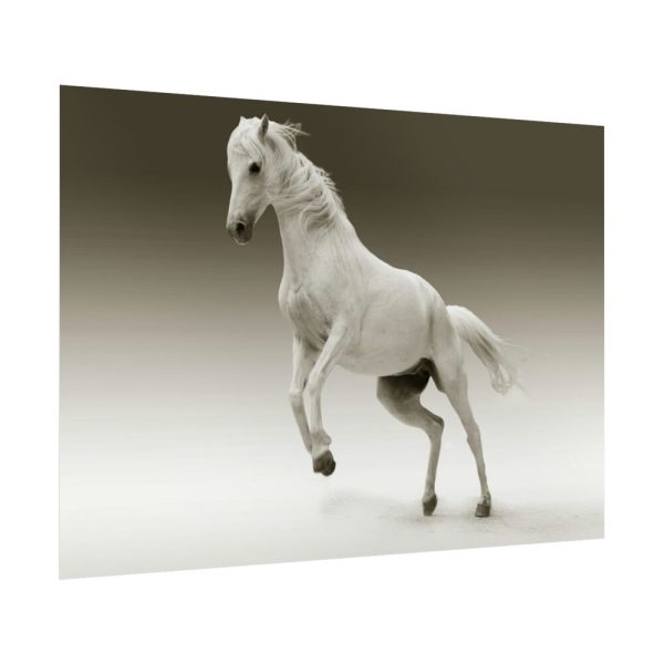 92409-449.jpg White Horse Poster