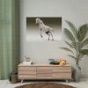 92409-450.jpg White Horse Poster