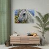 92409-455.jpg Closeup Shot of a White Horse Poster