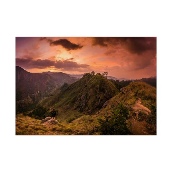 92409-457.jpg Nature Poster