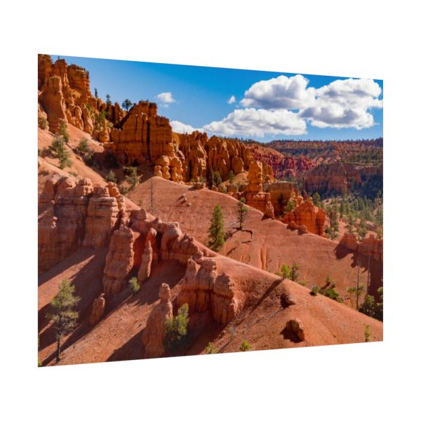 92409-469.jpg Dixie National Forest Poster