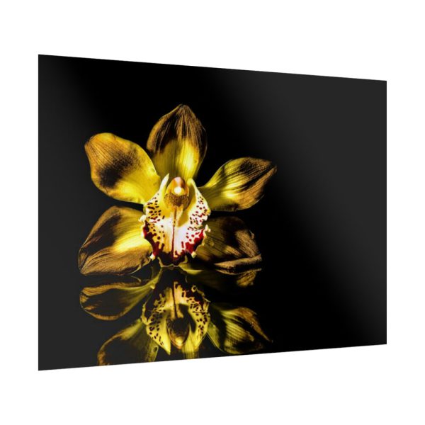 Bloom Orchid Poster
