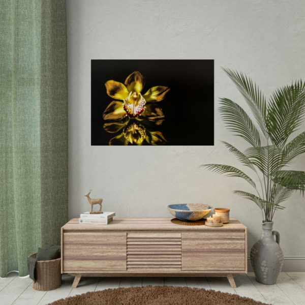 Bloom Orchid Poster
