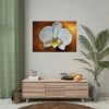 Blossom Orchid Flower Poster