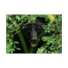 92409-502.jpg Black Bear in the Bush Poster