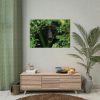 92409-505.jpg Black Bear in the Bush Poster