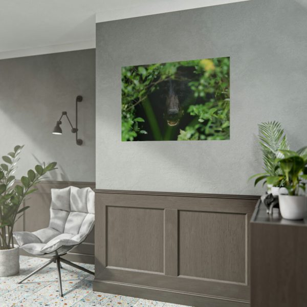92409-506.jpg Black Bear in the Bush Poster