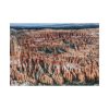 92409-507.jpg Utah national park, Bryce Canyon Poster