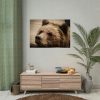 92409-530.jpg Brown Bear Snout Poster