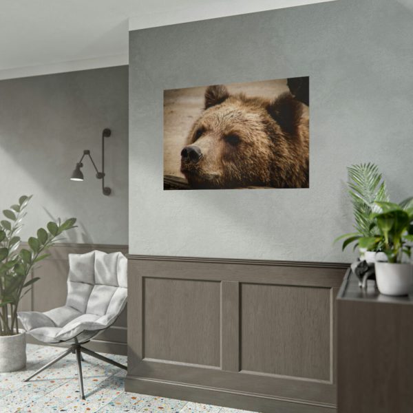 92409-531.jpg Brown Bear Snout Poster