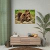 92409-540.jpg Brown Bear Wild Poster